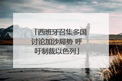 西班牙召集多国讨论加沙局势 呼吁制裁以色列